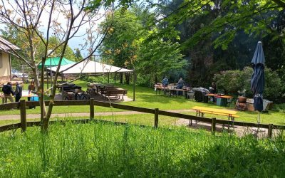 Nuovo Corso ECM sulla gestione pratica del paziente complesso a Trento.